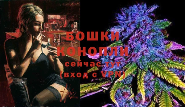 гашик Касимов
